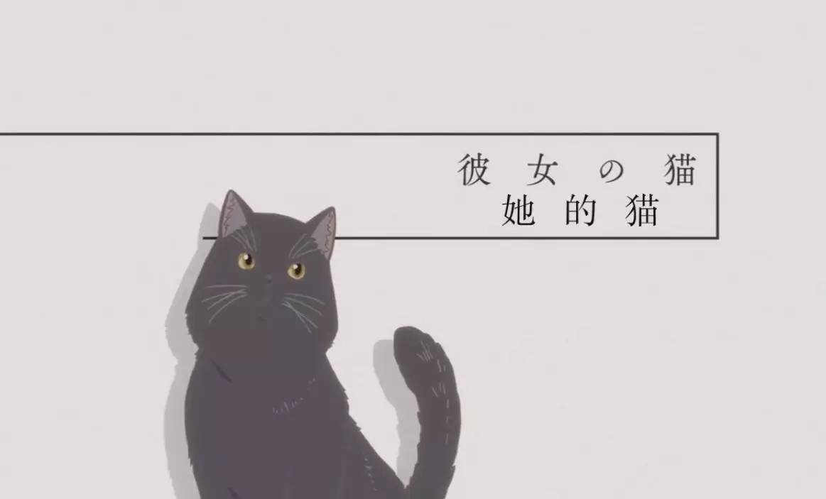 她与她的猫,新海诚与他的她