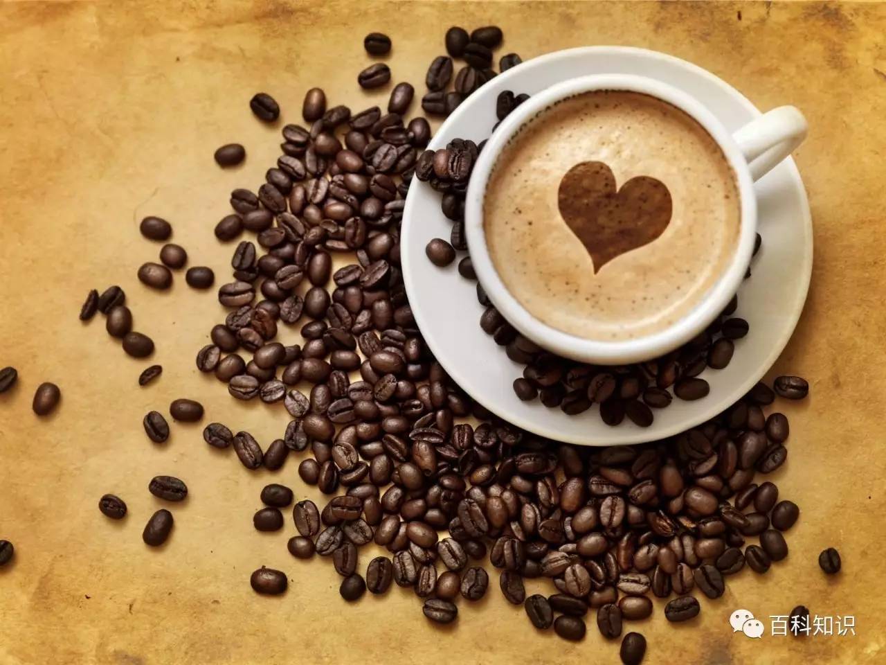 咖啡健康: 咖啡對身體的3個不為人知好處 | 休閒頻道 Travels.Media