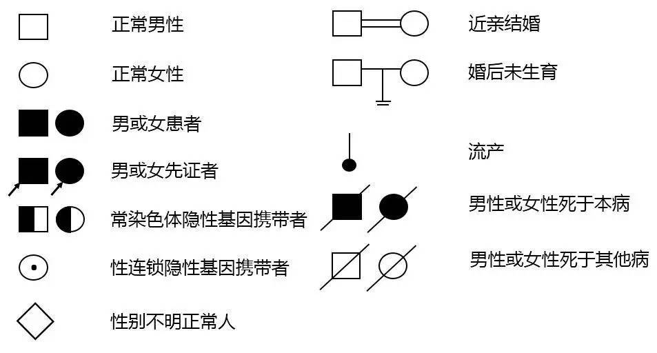 人口普查运用的科学方法是_人口普查是什么(3)