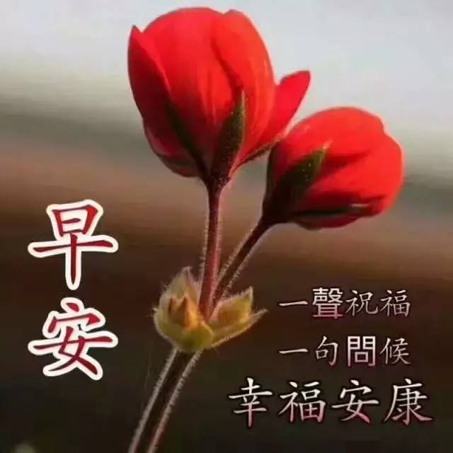 祝你心想事成吉祥如意!