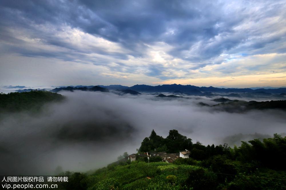 安徽黄山:皖南石潭云海 唯美壮观