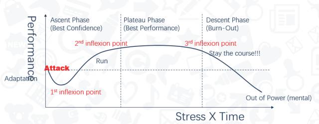在最初面对压力时,人会进入到一个"应激"的状态下,这一时段人的表现