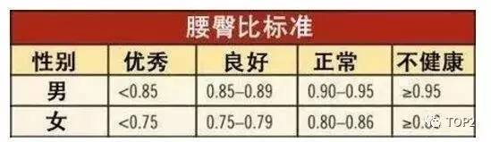 一般腰臀比在0.7-0.