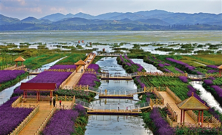 威宁县草海景区