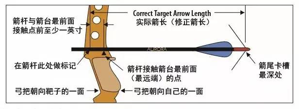 国际箭联中文版在线选箭表使用指南