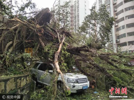 珠海人口登_珠海又上央视了 再次成功惊艳了13亿人