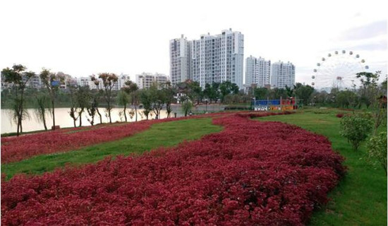 云南建水五龙湖健康主题公园