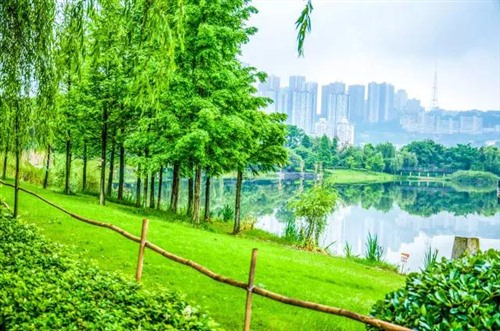 天气正好,去重庆主城四大漫步公园享受时光