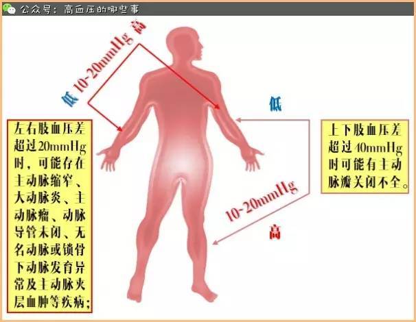 下肢血压测量位置图图片