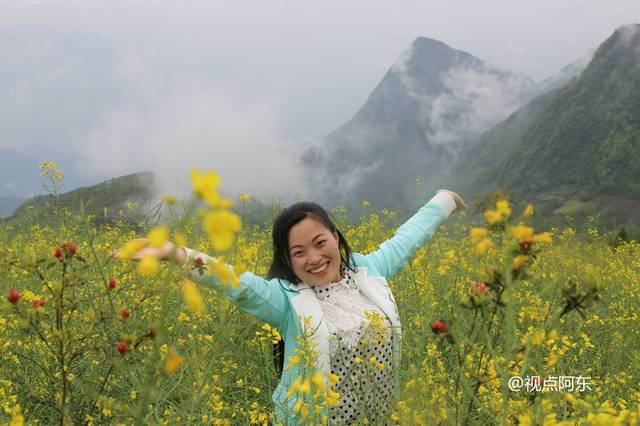在镇巴县观音镇丰源茶园所在的观云山可观中国最美云海