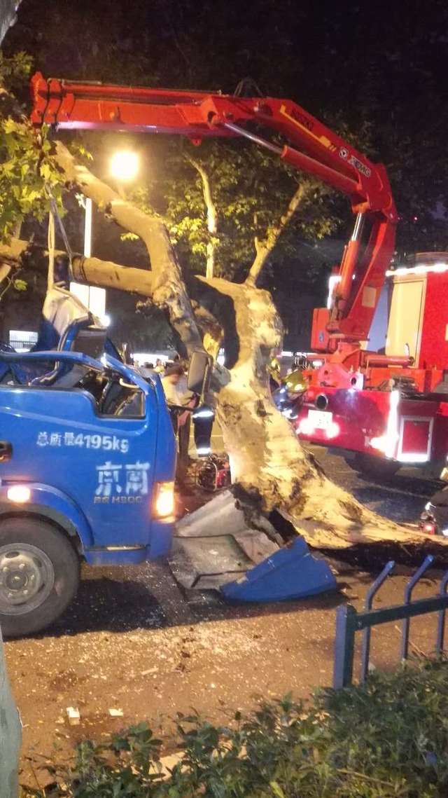 南京车祸清晰图图片