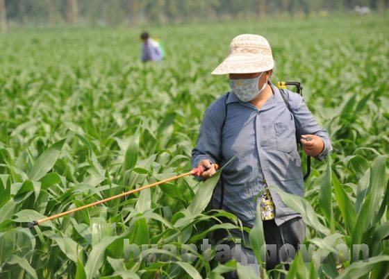 常见农药喷施安全间隔期(太实用了!