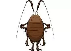 灭蟑螂这么简单有趣，何需尖叫、关门、放男友_手机搜狐网