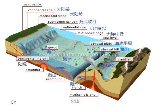 如果大海干枯,会露出什么来?