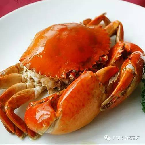 3 美食 delicacy 海鸥岛的鱼类也非常丰富,有海鲈,大头鱼,泥鳅,花斑