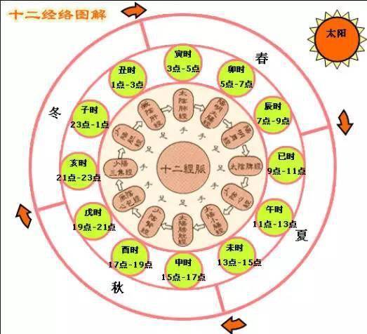 收藏:古代中医十二经络图