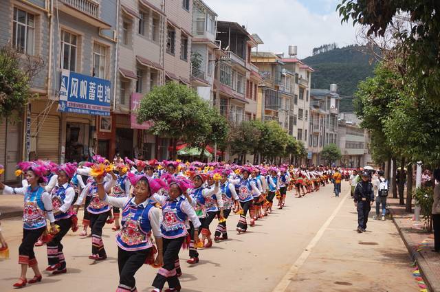 菌王评比,养生谷揭牌—石屏龙朋人杰地灵