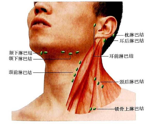 你身体里有个疾病探测器