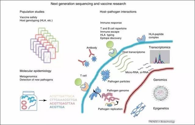 #生物工程#新一代测序技术NGS(CTGA