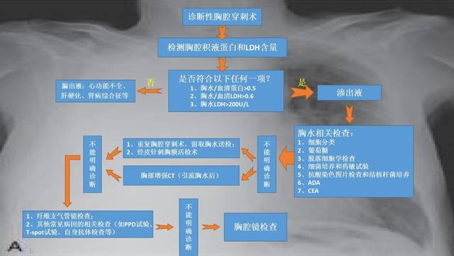 6   3,胸水ldh水平大于血清ldh正常值上限的2/3