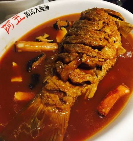 阿五黃河大鯉魚(鄭州英協路店)· 紅燒黃河鯉魚