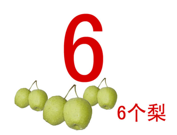 认识数字6