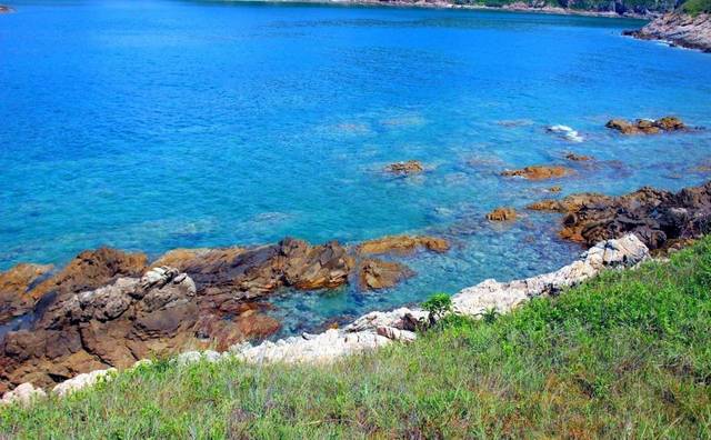 深圳有個海底花園,趁著天朗氣清去浮潛