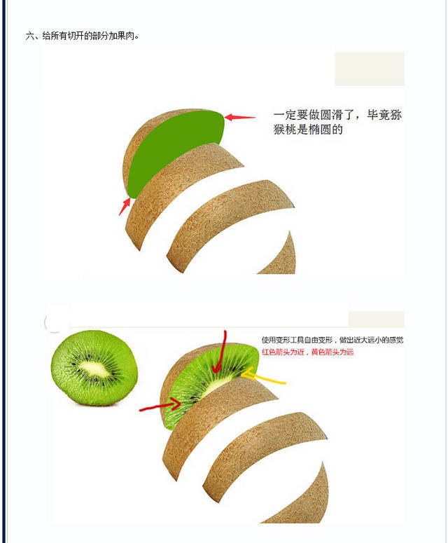 猕猴桃果实结构图图片