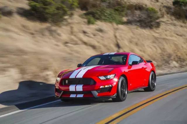 紅色眼鏡蛇-2016 福特mustang shelby gt350