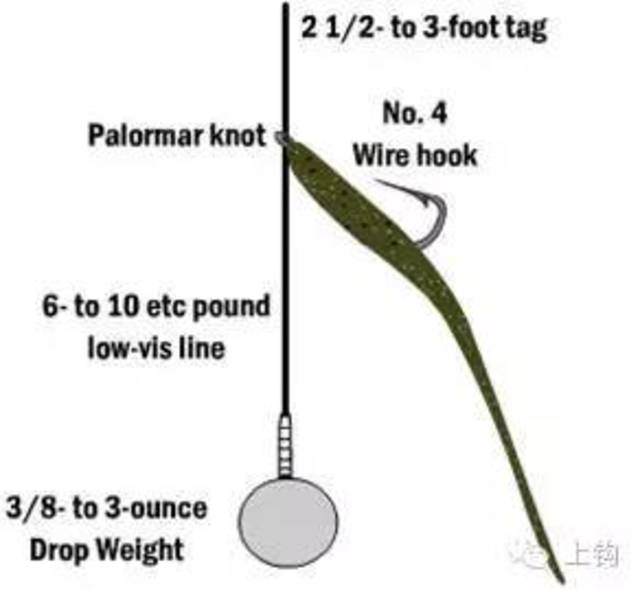 路亚倒吊钓组图解图片