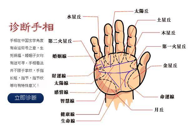 看看手纹 得知自己有多少财富 是否能招财进宝 手机搜狐网