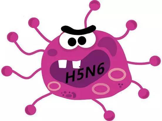 H5N6禽流感来了!怎么防?