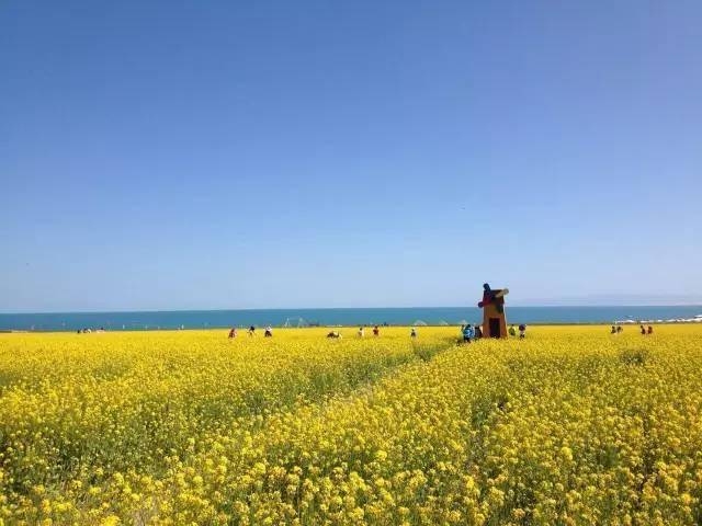 山西恒实陈琼芳图片图片