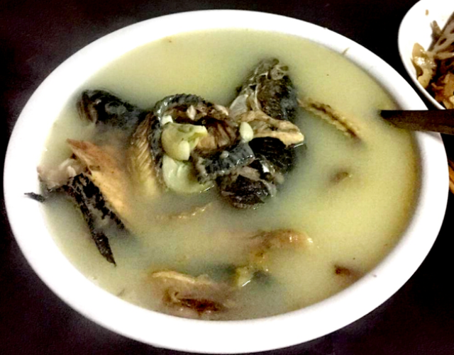 黑魚湯的食補功效你想不到