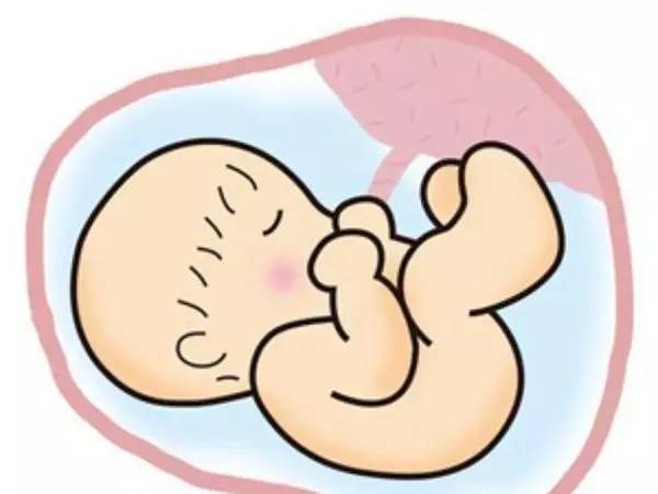 【胎儿窘迫】胎儿宫内窘迫_胎儿缺氧的表现