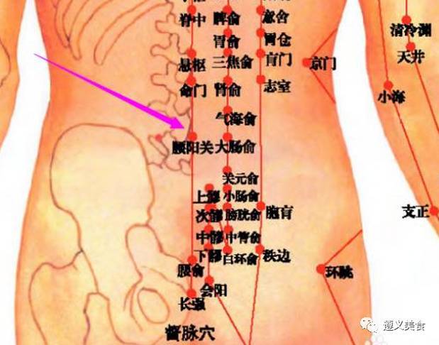 人体腰部位分析图图片