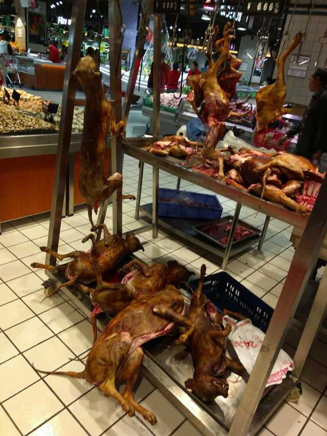 菜市场狗肉图片