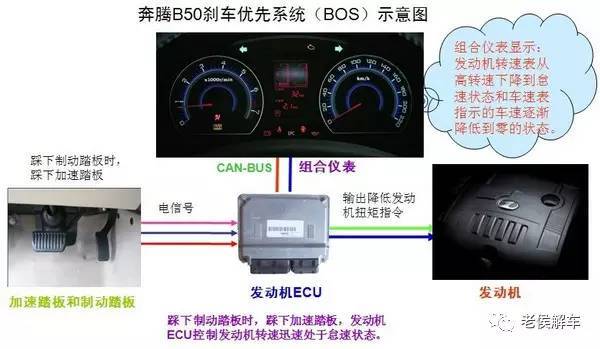 、CBC、EBA、BAS.你知道是什么意思吗?