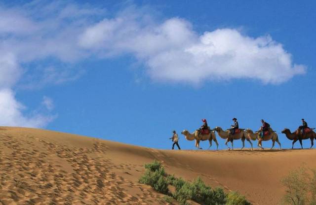 37年后,三毛的撒哈拉沙漠下了雪,聊一聊沙漠旅
