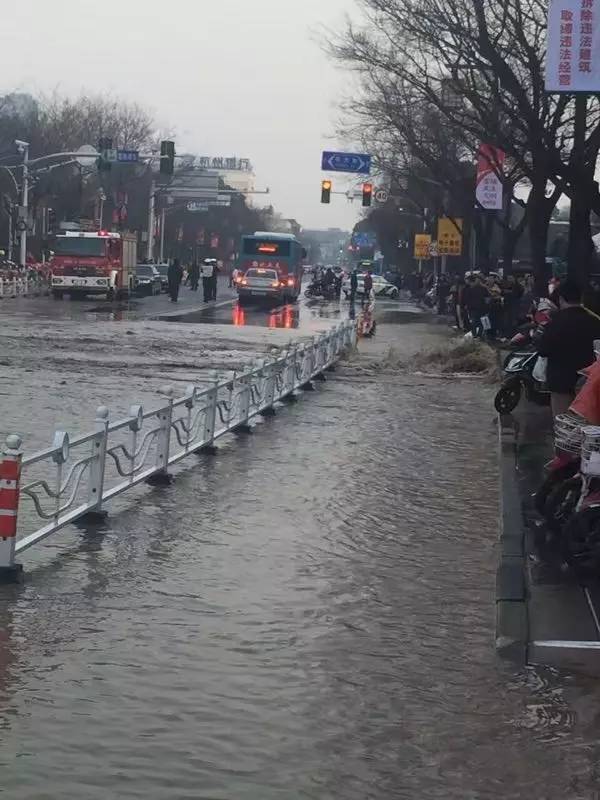 【爆料】嘉定博乐路东大街水漫金山!路上到处都是水水水水.