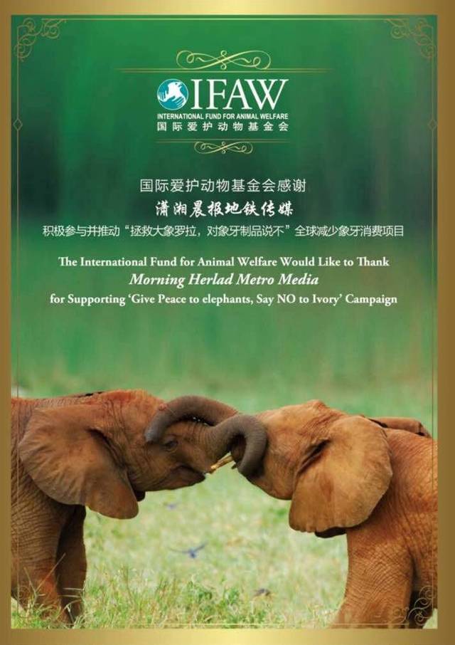 长沙地铁积极参与并推动国际爱护动物基金会组织的拯救大象罗拉,对