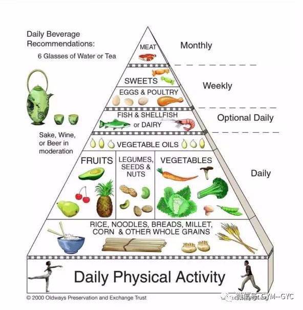 人体所需营养金字塔图片