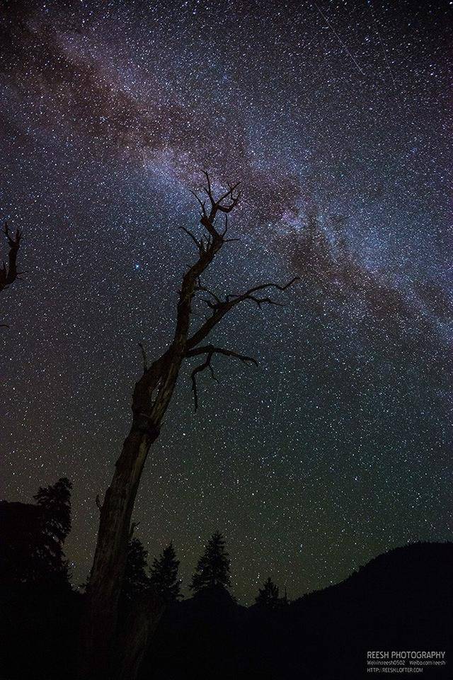 75 十月 四川·九龙·伍须海 仰望星空