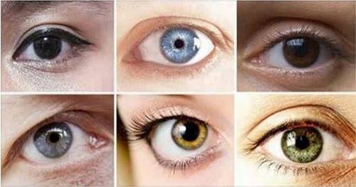 不同人种的眼睛图片图片