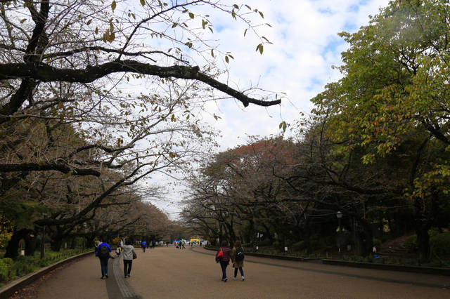 东京行记:上野公园里的一地鸡毛