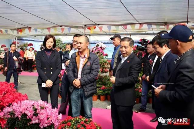 龙岩市副市长孙秋霞等一行人参观特色花卉精品展