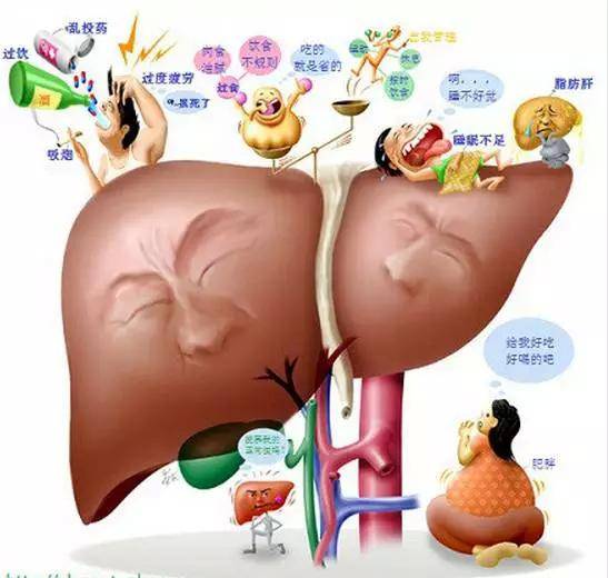 肝胆疾病早期症状_肝胆病的早期症状_肝胆早期症状的症状是什么