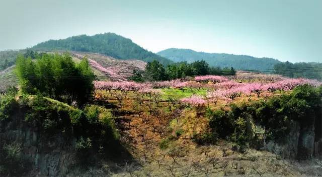 《三生三世十里桃花》是在金华拍的?四海八荒最美的桃花林就在金华?