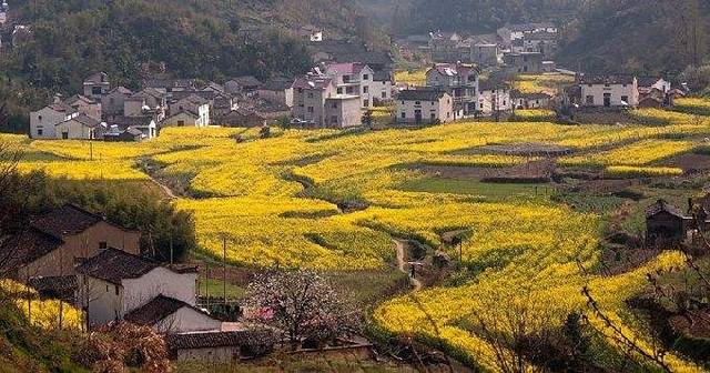 涇縣榔橋鎮溪頭村 涇縣琴溪鎮馬頭村 涇縣黃村鎮九峰村 寧國 績溪縣