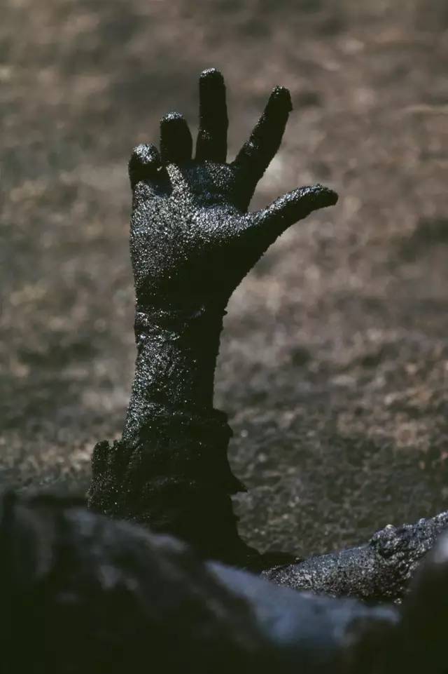 海湾战争中烧焦的尸体(伊拉克,1991年)